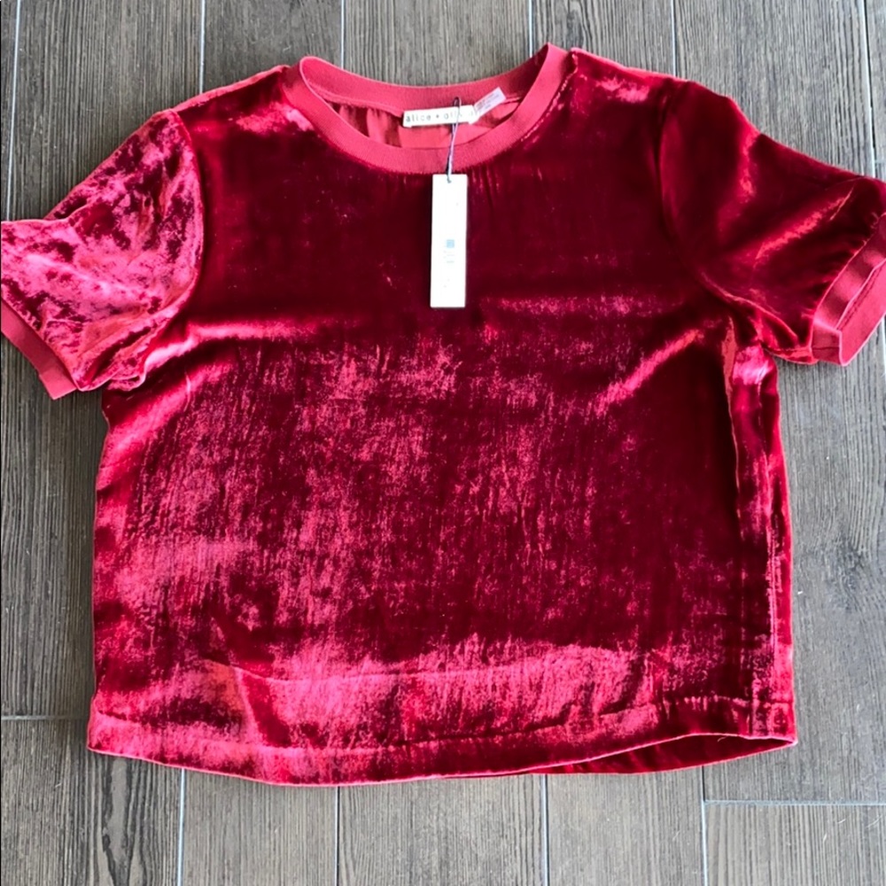 Pane Crushed Velvet Red T-Shirt